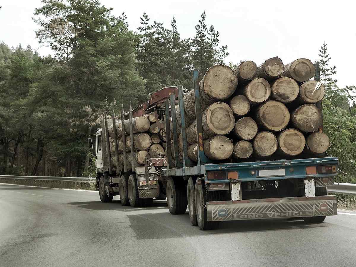 https://logisticology.co.uk/wp-content/uploads/2017/08/inner_big_trucks_01.jpg